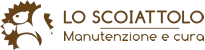 Scoiattolo Manutenzione Cura